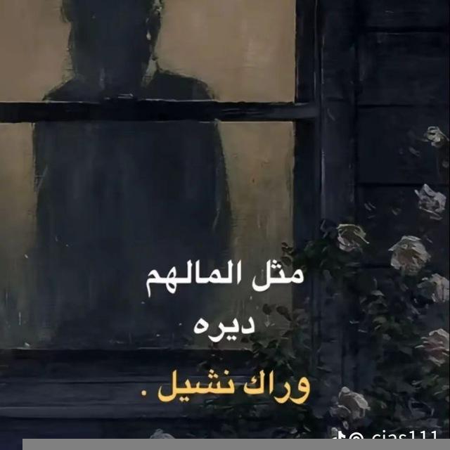 أشـعـار✨❤️‍🔥