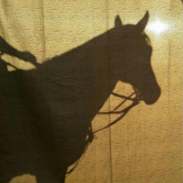 ألف مرّه