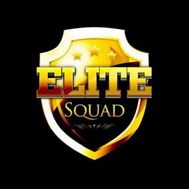 THE ELITE SQUAD