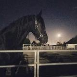 لـ نفسيَ .