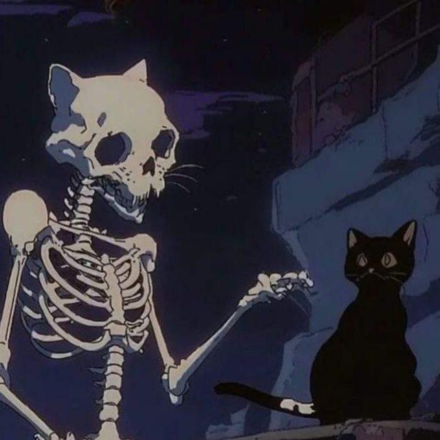 Скелет в шкафу⋆.°⋆