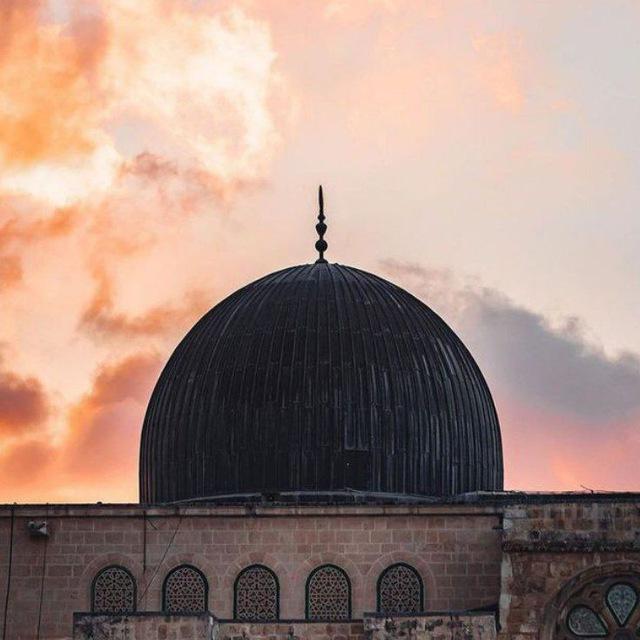 عبد المرتضى