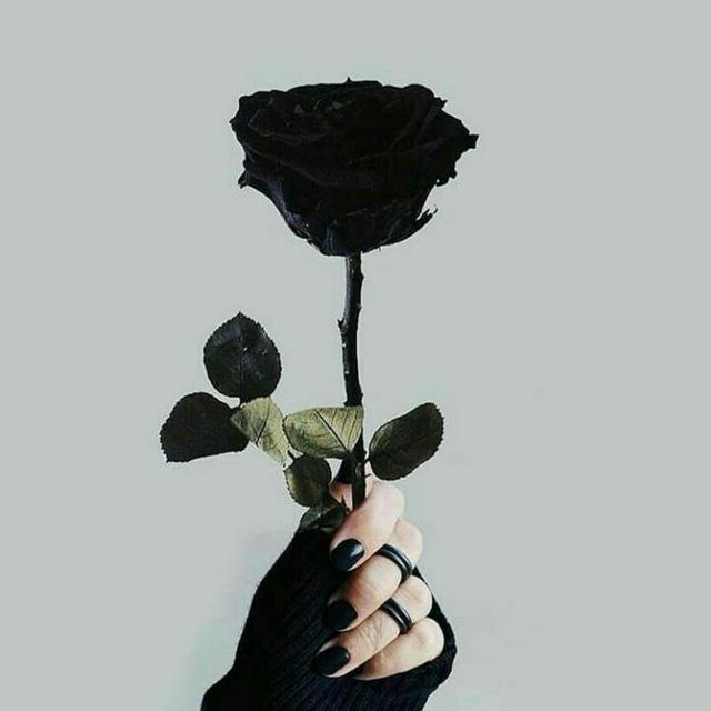 😘😘صدایی ویس دختر 😘😘