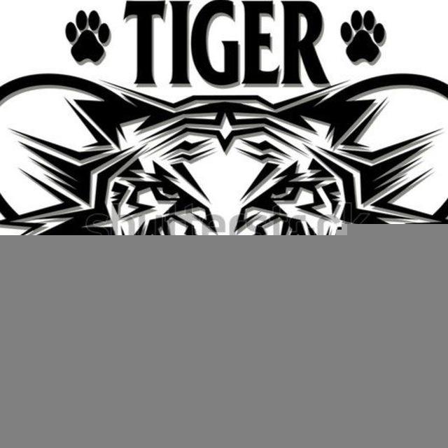 TIGER 🐅 TENNIS 🎾TIPS