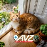 АВЗ - производитель ветеринарных препаратов