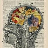Libros de medicina