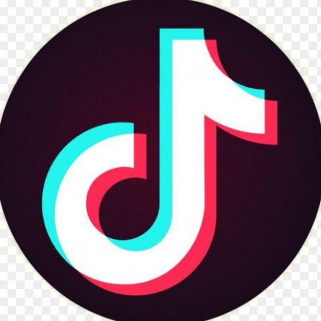 TikTok Video Downloader - High Quality