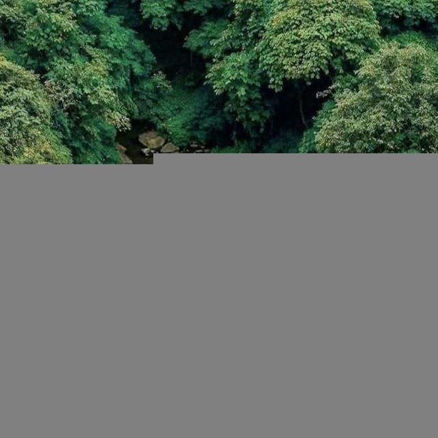 ✨️ موزیک های جادویی‌‌‌⁂👁