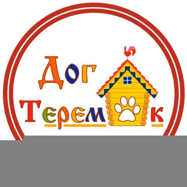 Dog_Teremok