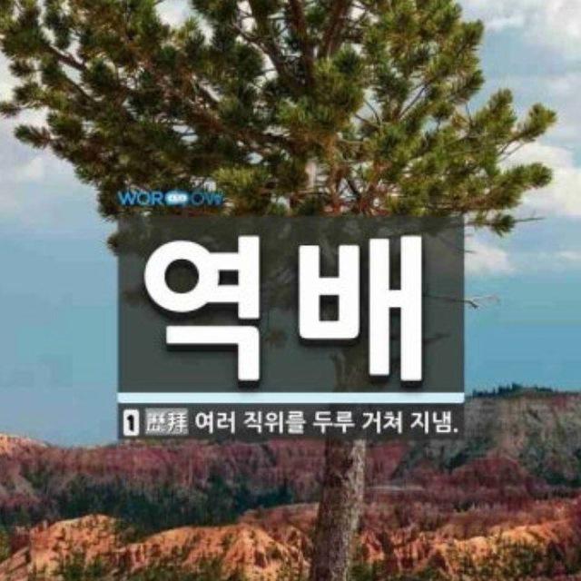 역배 제휴사