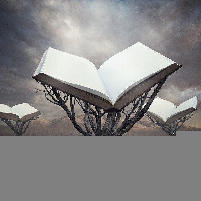 POESÍA