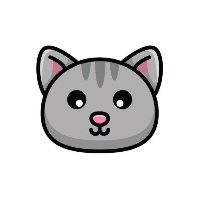 Boba Cat | Updates