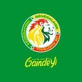 Équipe nationale du Sénégal 🇸🇳⚽️🇸🇳