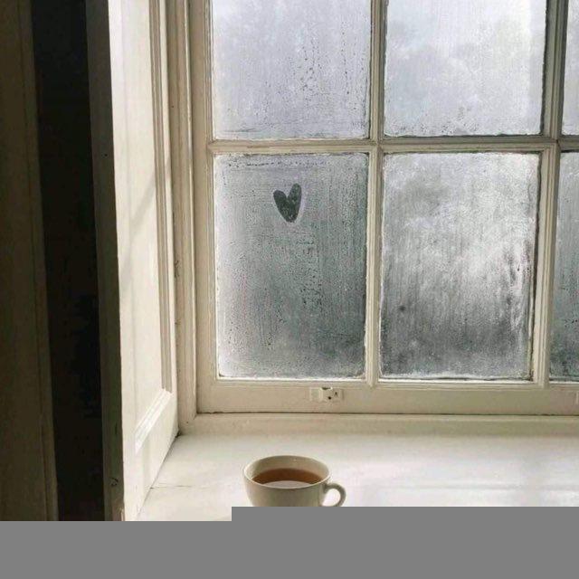 نّبْتَة 🌱