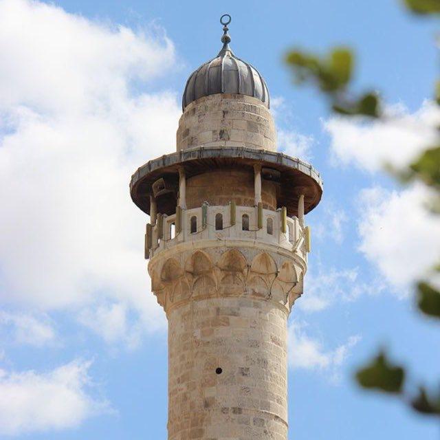مُدونة أبا يعلىٰ