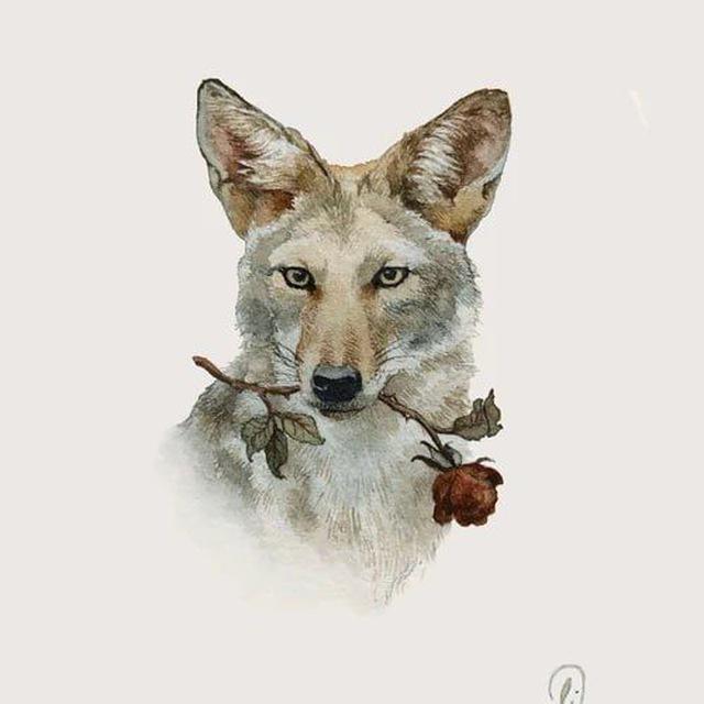 OnlyYotes