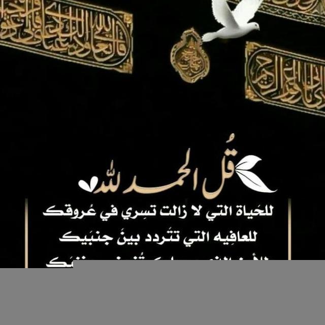 معلومات#سؤال وجواب🌱
