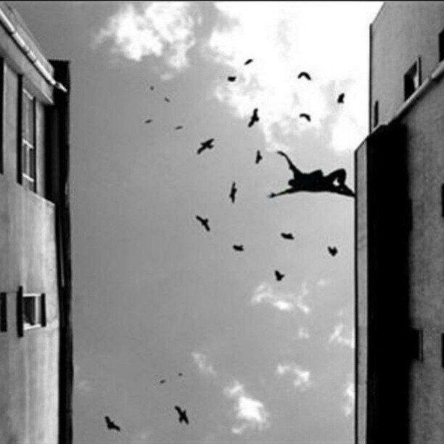 پیرمرد هفتادی🕊️313