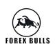 Forex Bulls Academy( Vidollarug)