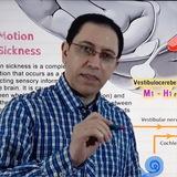 محاضرات د. عبد المتعال مكتوبة