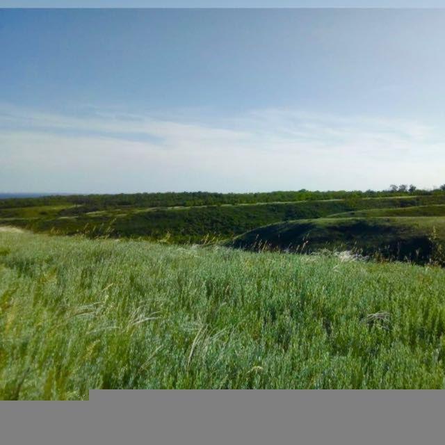 Wahrheit Ukraine Russland