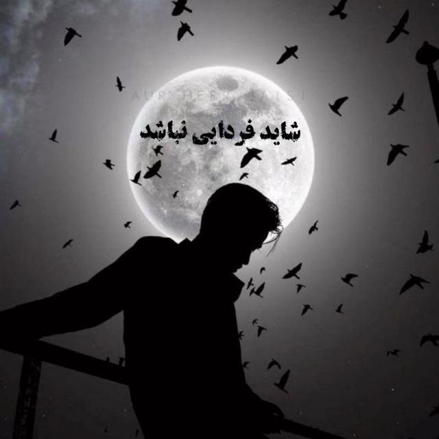 شاید فردایی نباشد🖤