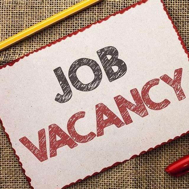 Job Vacancy (S&V Cambodia Jobs)
