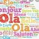 Foreign Language Jobs India