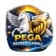 Pega Rehber Kanalı