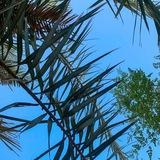 فيزياء طبيه اسئله مهمه