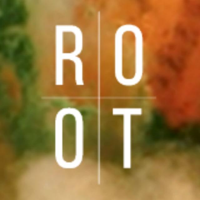 Root TheRootBrands Anwendung und Erfahrungen