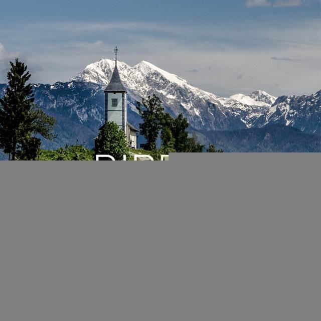DIRECT SLOVENIA