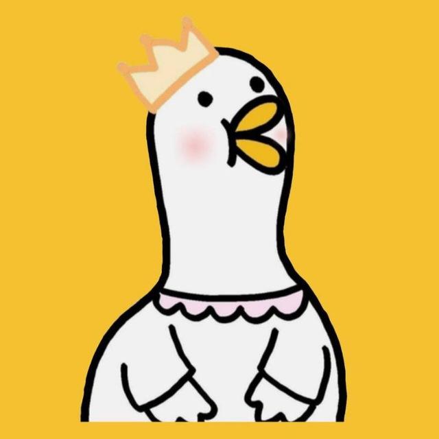 بطه لمواد السلم | 🐥