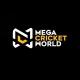 Mega Cricket World