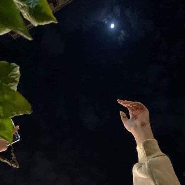 𝒂𝒍𝒍 𝒚𝒐𝒖 𝒘𝒂𝒏𝒕🕊🇵🇸.