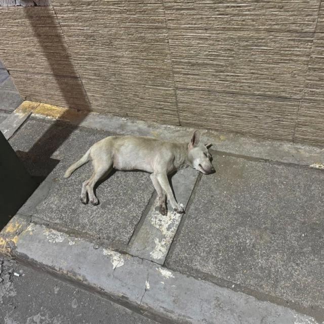 性息网客服频道