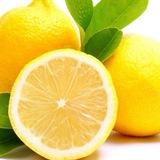 🍋 LIMON SOTISH🍋