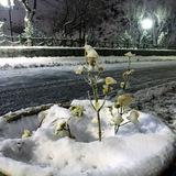 موسیقی برای تمرکز