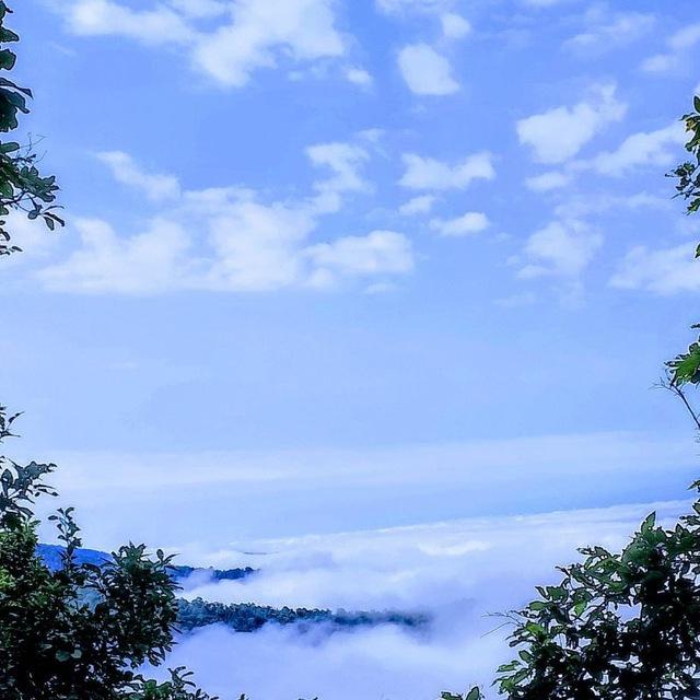 ကဗျာပြတိုက်နဲ့အလွမ်းကမ္ဘာ