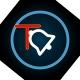 Testnet TON Status