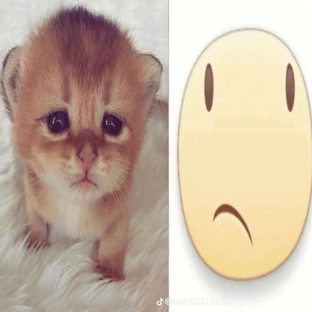 домик отмены
