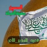 الحسين سفينة النجاة