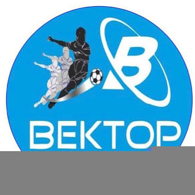 Детский футбольный клуб Вектор