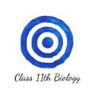 class 11th biology notes