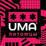 Питомцы: Кошки и Собаки. Уход