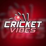 Cricket vibes🏏 (real)
