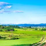 توصیه های مشاوره ای