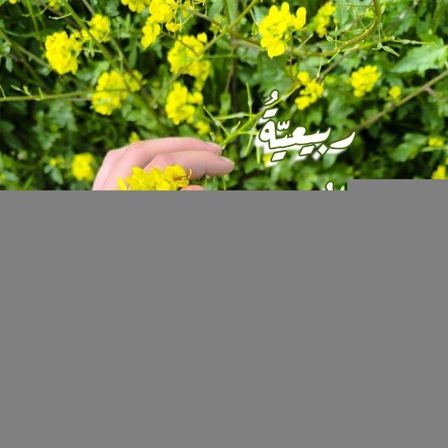 ربيعيَّةُ الرُّوح 🦋