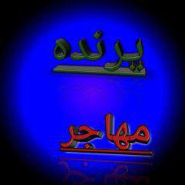 کانال شعر شیدایی پـ෴ِْـرنـ෴ِْـده مـ෴ِْـهاجـ෴ِْـر