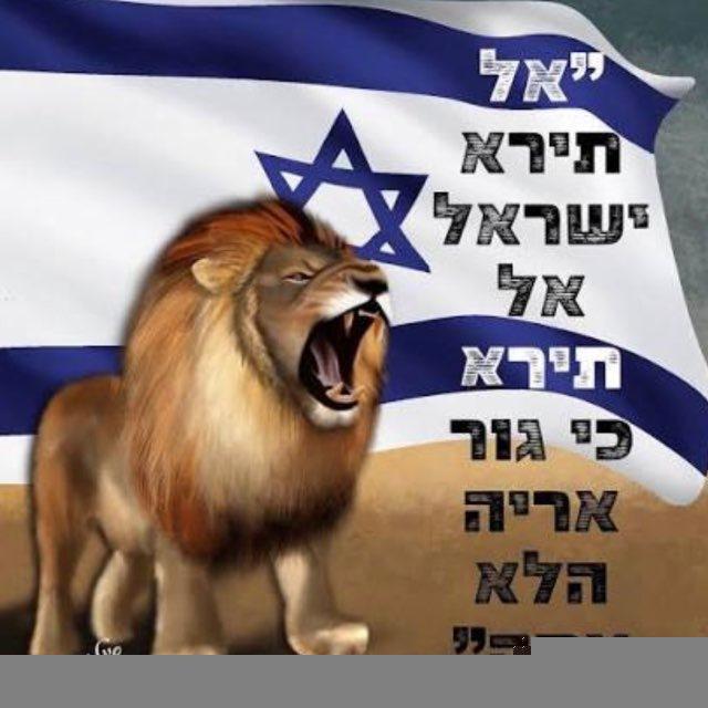 עדכוני המלחמה - בזמן אמת 🚨